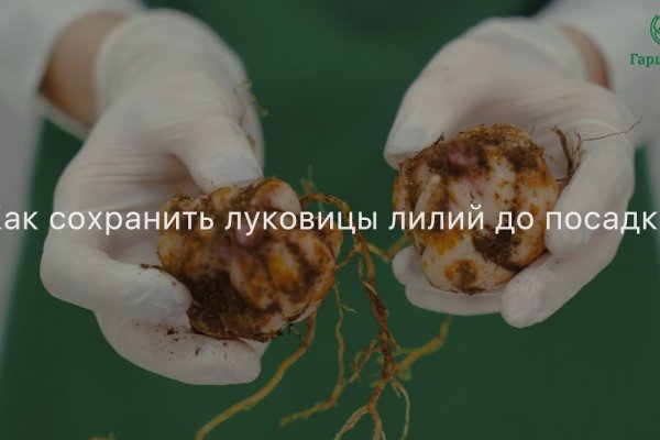 Кракен 2kr pro