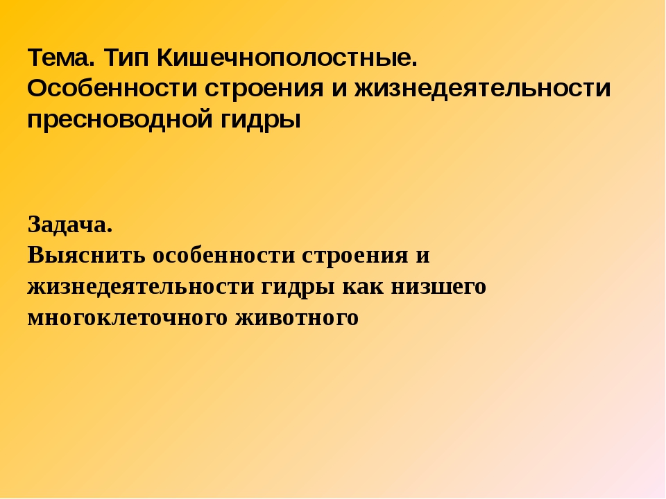 Сайт кракен онион