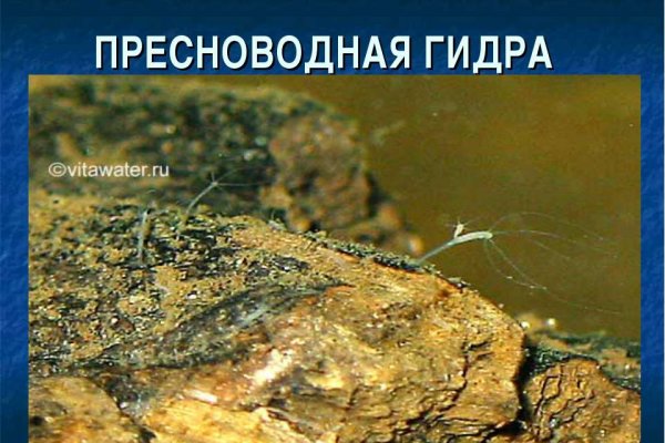 Кракен даркнет в тор