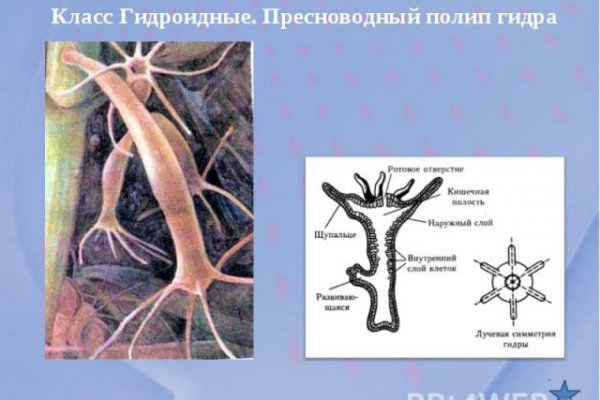Kraken ссылка актуальная