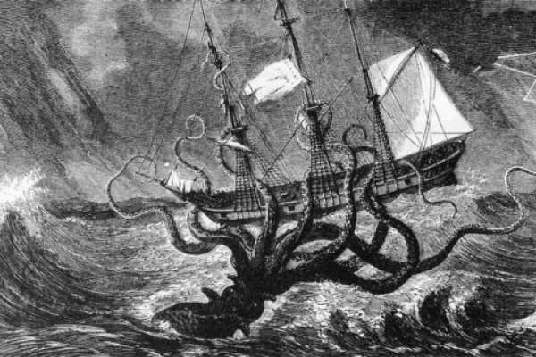 Kraken online