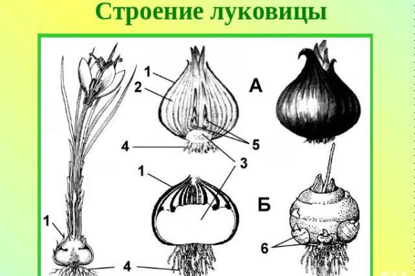 Как восстановить страницу на кракене