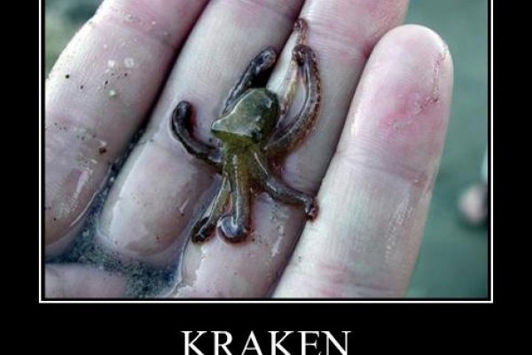 Ссылки зеркала на kraken