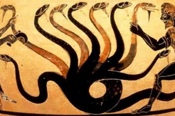 Kraken20 at