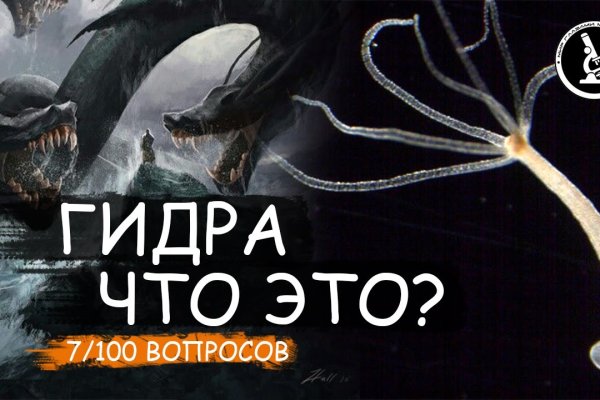 Кракен даркнет поддержка