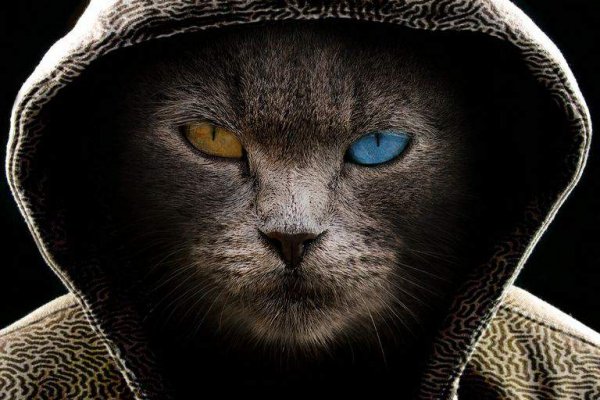 Кракен сайт даркнет